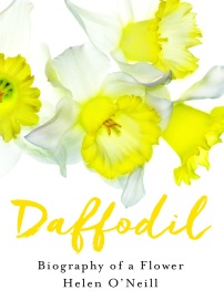 DaffodilCover